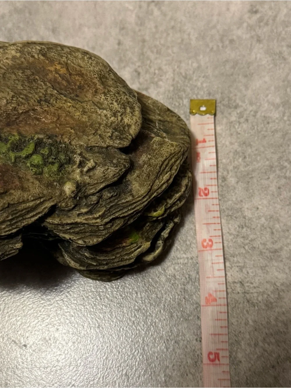 Aquarium Fish Tank Reptile Decoration CAVE Dessert Rock Formation, AncientBridge